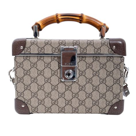 gucci vanity case bag